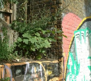 September 25th, 2011