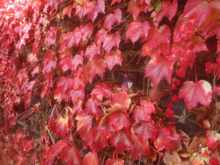 #365ArtDrops Part 278