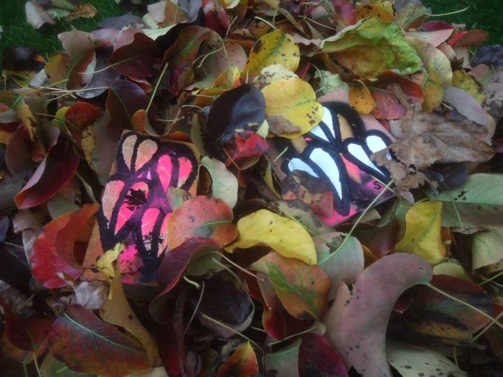 Leaves, October 2015