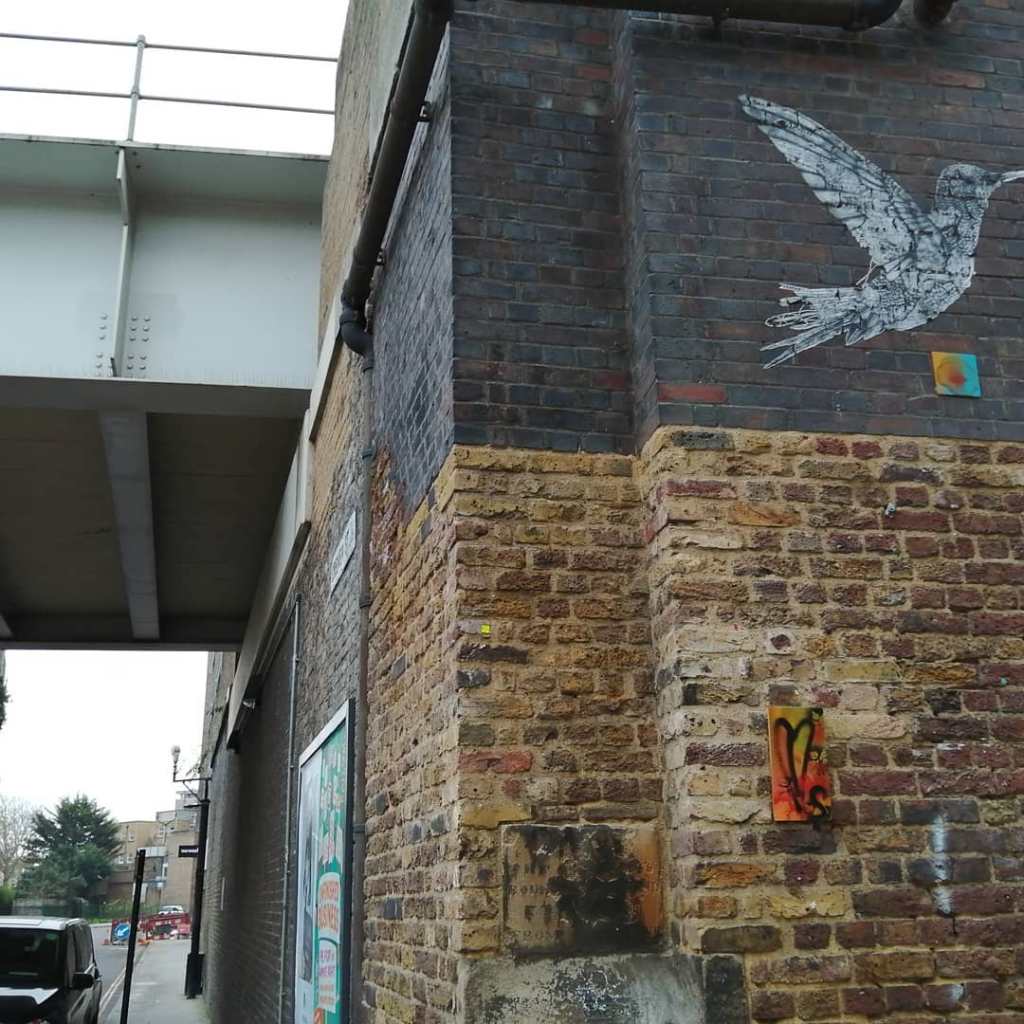 A leaf left hanging in East London for someone to just take, November 2020